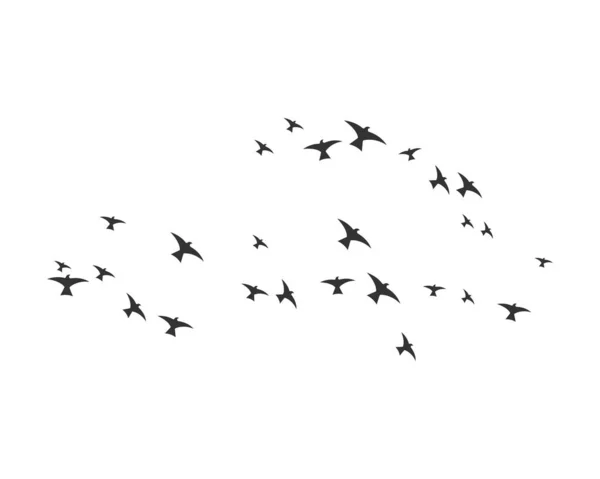 Σχεδιασμός Προτύπου Λογότυπου Πουλιών — Διανυσματικό Αρχείο
