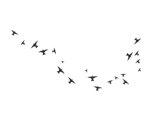 鳥のロゴテンプレートデザイン — ストックベクタ