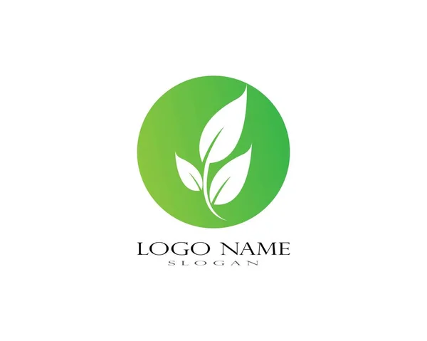 Logo Van Groene Blad Ecologie Natuur Element Vector Icoon — Stockvector