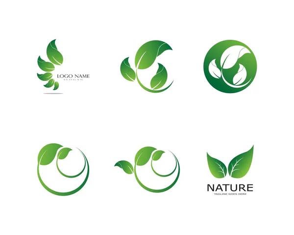 Logos Von Grünen Blättern Ökologie Naturelement Vektor Symbol — Stockvektor