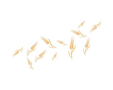Tarım buğday logosu vektör ikonu tasarımı 