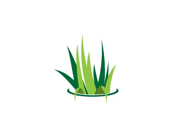 Шаблон Вектора Логотипа Травы — стоковый вектор