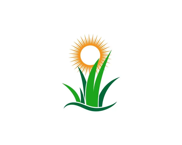 Çimen logo vektör şablonu