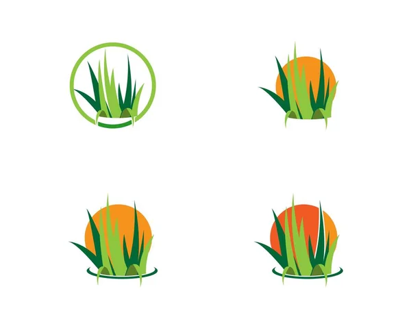Grass Logo Vektorvorlage — Stockvektor