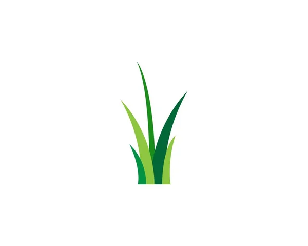 Modello Vettoriale Logo Erba — Vettoriale Stock