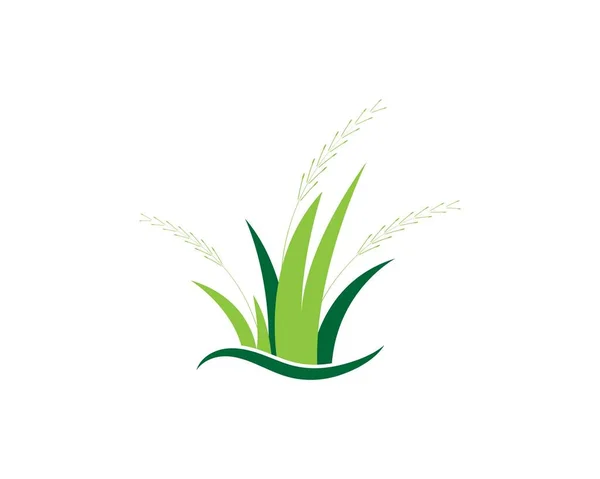 Grass Logo Vector Template — Stock Vector