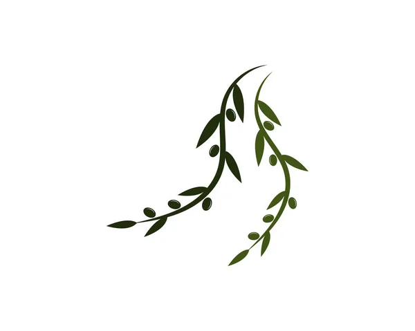 Оливкова Ікона Векторні Ілюстрації Шаблон Дизайну — стоковий вектор