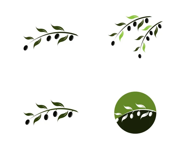 Olive Icon Vector Illustration Design Template — Stock Vector