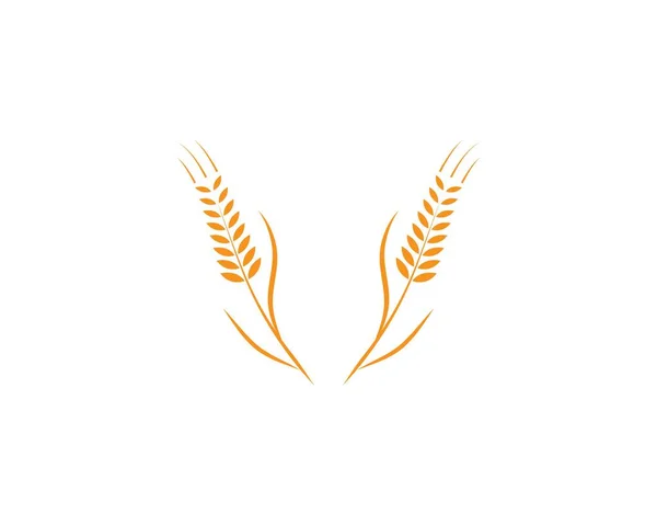 Logo Pszenicy Wzór Wektor Ikona Projekt — Wektor stockowy