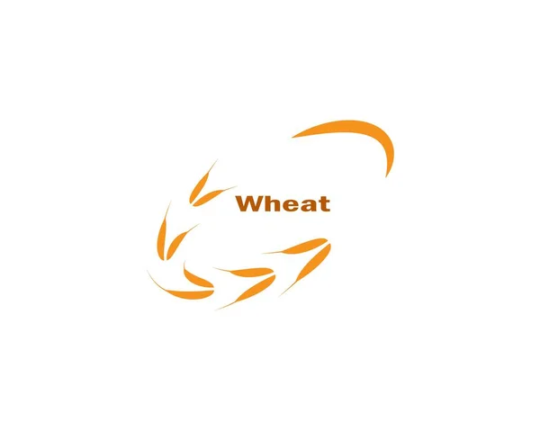 Wheat Logo Template Vector Icon Design — Stock Vector