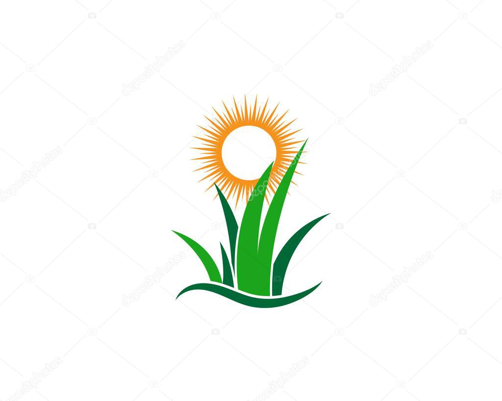 Grass logo vector template