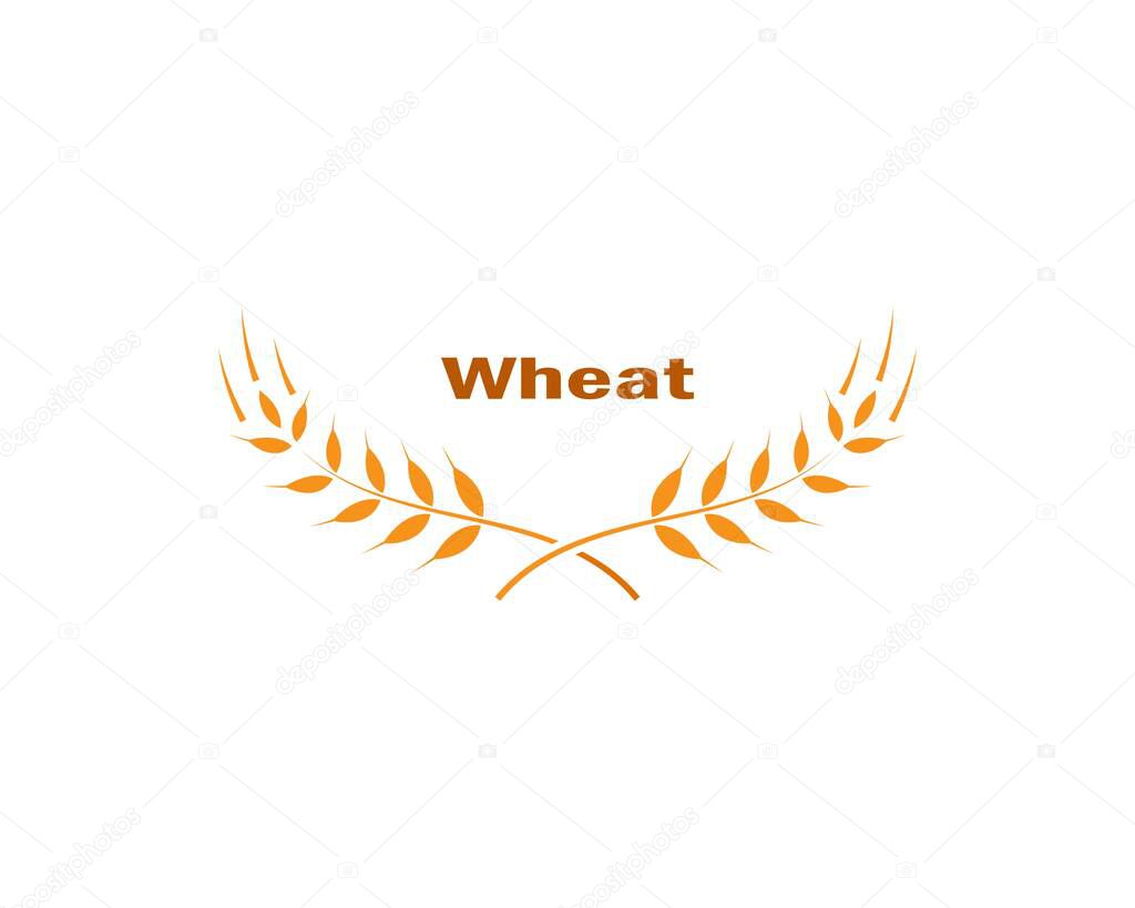 Wheat Logo Template vector icon design