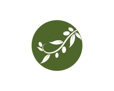 Zeytin ikonu vektör çizim şablonu