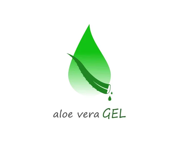 Aloe Vera Logo Vektor — Stockvektor