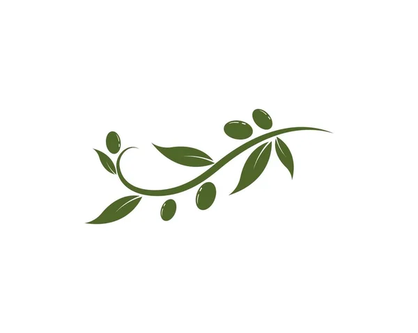 Zeytin ikonu vektör çizim şablonu