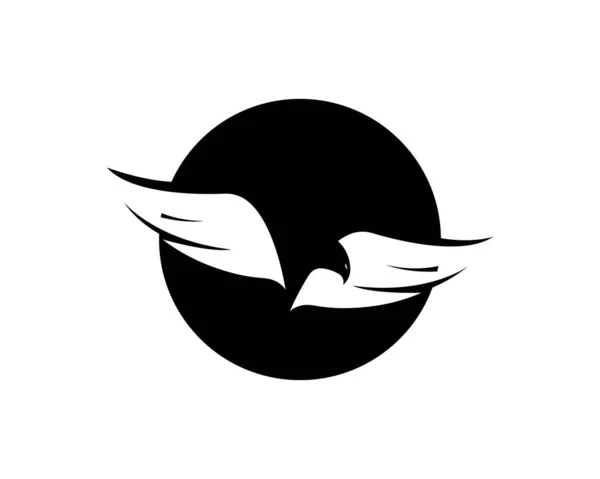 Modèle Icône Vectorielle Falcon Wing Logo — Image vectorielle