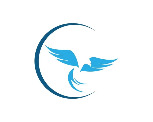Design Des Falcon Wing Logo Template Vektorsymbols — Stockvektor