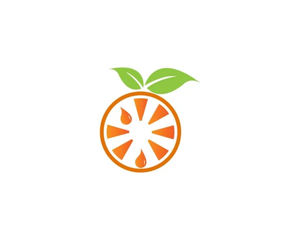 Turuncu Logo Tasarımı Vektör Illüstrasyonu — Stok Vektör