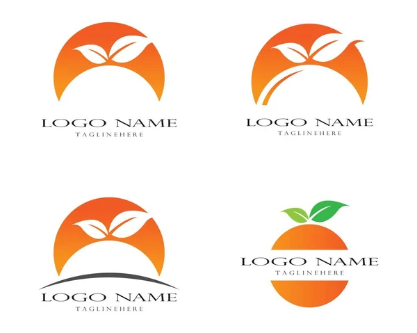 Design Logotipo Laranja Vector Illustratio — Vetor de Stock