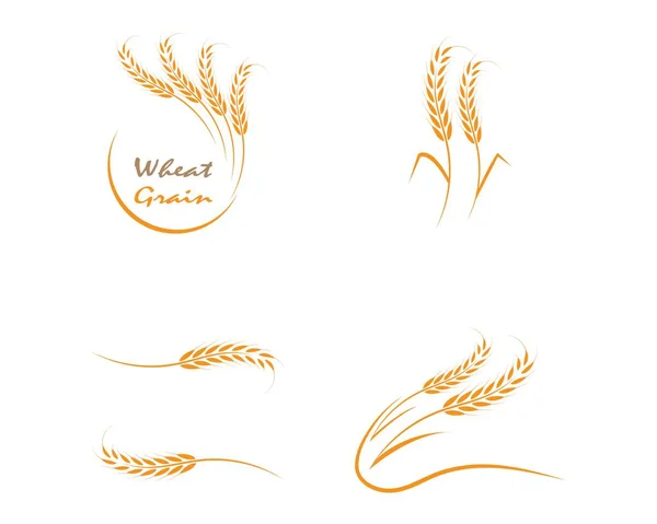 Дизайн Векторной Иконки Логотипа Пшеницы — стоковый вектор