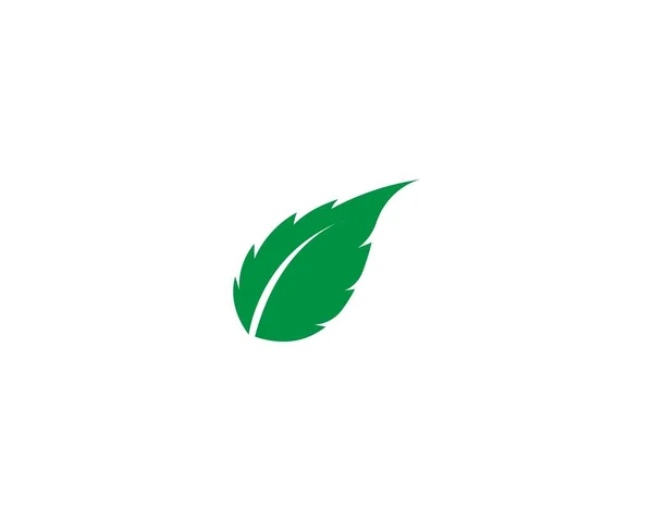 Progettazione Del Logo Vettoriale Della Foglia Dell Albero Concetto Ecologico — Vettoriale Stock