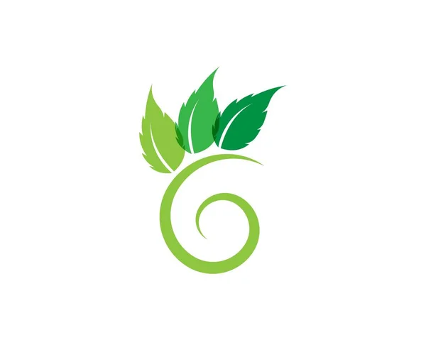 Diseño Del Logotipo Del Vector Hoja Árbol Concepto Ecológico — Vector de stock