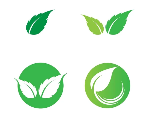 Tree Leaf Vector Logo Design Eco Friendly Concept — Stock Vector