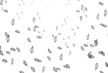 Light Silver, gri vektör karalama kapağı. Yapraklarla karalama tarzında renkli çizimler. Marka kitabı için desen.