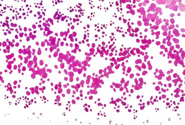 Soyut çizgileri olan açık mor vektör şablonu. Bulanık geometrik örnek ve eğimli kabarcıklar. Reklamlarınız, posterleriniz, afişleriniz için yepyeni bir tasarım..