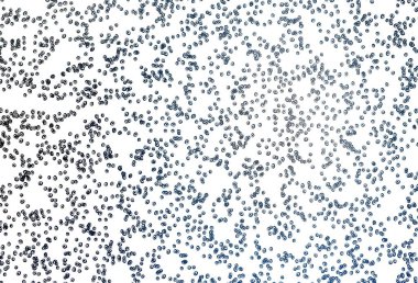 Küreli açık mavi vektör deseni. Parlak renkli soyut çemberlerin olduğu bir resim. Posterler, afişler için tasarım.