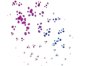 Açık Pembe, bükülmüş çizgileri olan mavi vektör şablonu. Eğilimli zarif, parlak bir çizim. Web siteniz için mermer tasarımı.