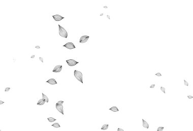 Açık Gümüş, gri vektör karalama örtüsü.