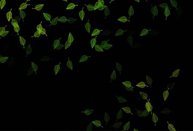 Koyu yeşil vektör karalama deseni.