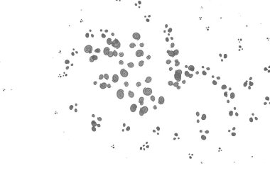 Açık Gümüş, çizgili gri vektör şablonu, oval.