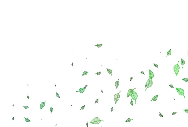 Sfondo Scarabocchio Vettore Verde Chiaro — Vettoriale Stock