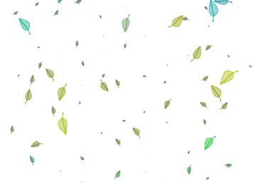 Açık Yeşil, Sarı vektör karalama düzeni.