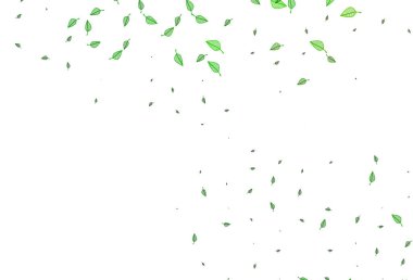 Açık Yeşil vektör karalama dokusu.