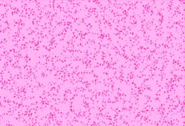 Çember şekilli Açık Pembe vektör düzeni.