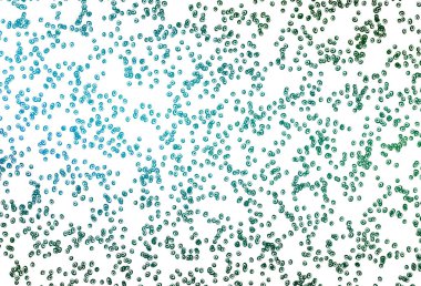 Açık Mavi, diskleri olan yeşil vektör dokusu.