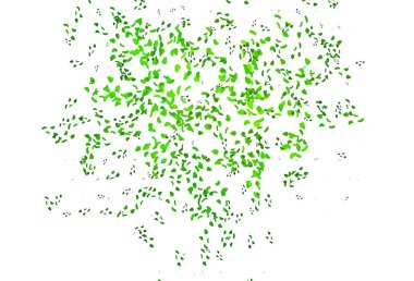 Memphis şekilli açık yeşil vektör şablonu.