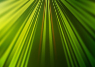 Parlak tonlu bulanık çizgiler. Gradyanı olan belirsiz bir soyut çizim. İşiniz için yepyeni bir tasarım.. 