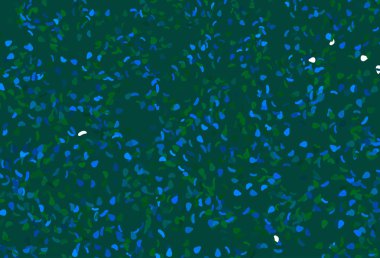 Açık mavi, kaotik şekilli yeşil vektör deseni.