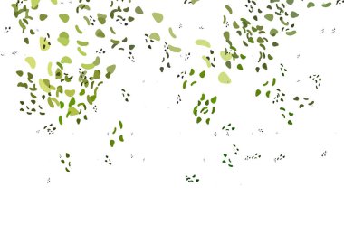 Karmaşık şekilli açık yeşil vektör deseni.