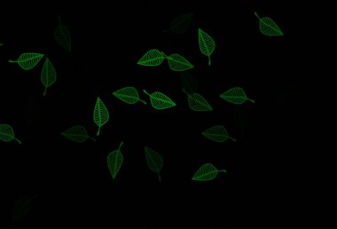 Koyu yeşil vektör karalama dokusu.