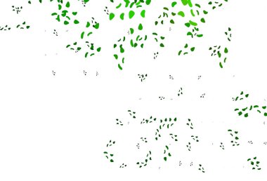 Rastgele biçimlerde açık yeşil vektör dokusu.