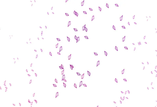 Pink Petals Rose White Background — Stock Vector