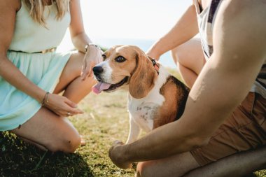 Gün batımında av köpeğiyle bir aile