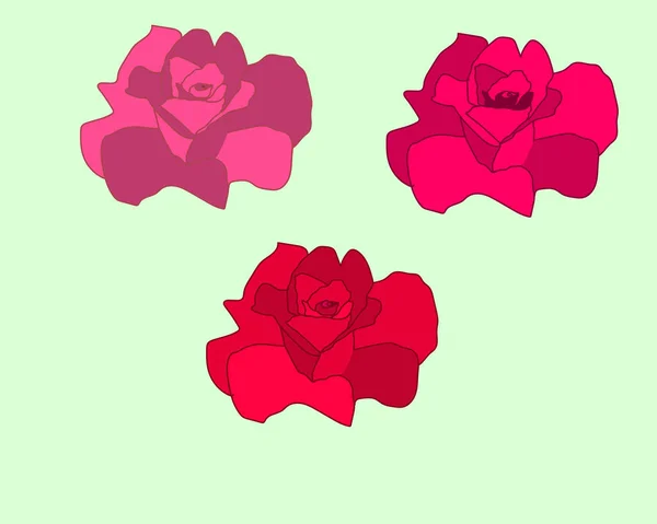 Rose Vectoriel Art Clip Art Illustration Vectorielle Art Illustration — Image vectorielle