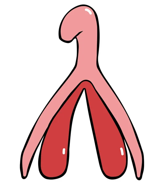 Cartoon art illustration of the female reproductive system of the clitoris. Separately on a white background. The theme of feminism and female genital organs. Hand drawn color illustration