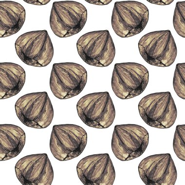 Kusursuz desen, beyaz arka planda izole edilmiş kurşun kalemle çizilmiş resim. Gerçekçi fındık. Broşür, poster, duvar kağıdı, ağ, davetiye, tebrik kartı, menü.